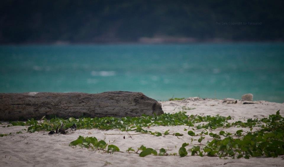 หาดเกาะมัดสุม