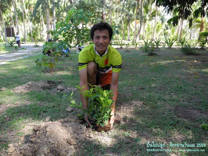 คำอธิบายภาพ