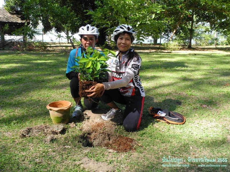คำอธิบายภาพ