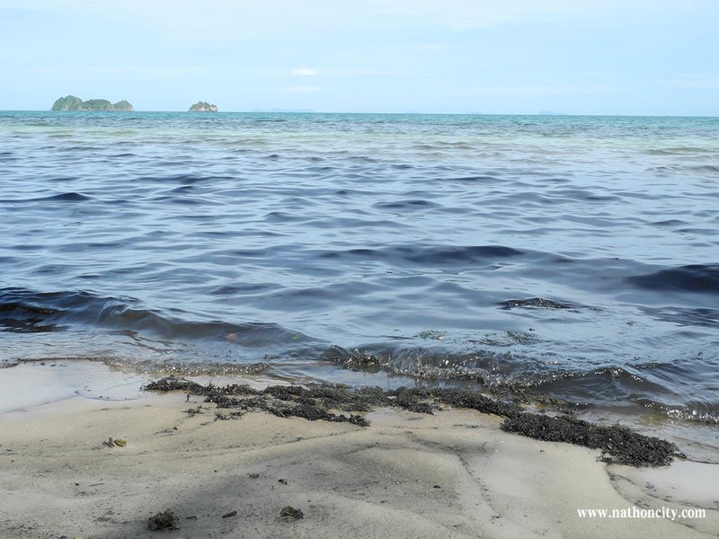 ชื่อภาพ : DSCN9842 คำอธิบายภาพ : DSCN9842