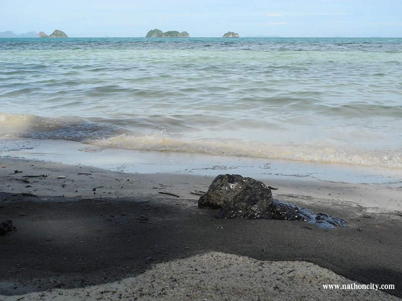 ชื่อภาพ : DSCN9850 คำอธิบายภาพ : DSCN9850