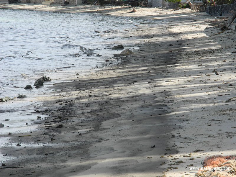 ชื่อภาพ : DSCN9863 คำอธิบายภาพ : DSCN9863