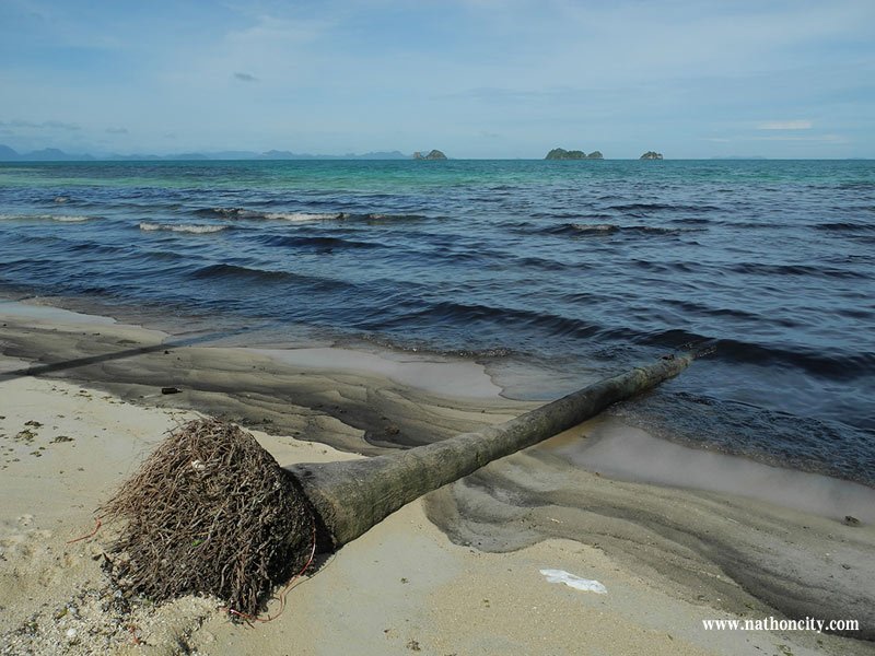 ชื่อภาพ : DSCN9877 คำอธิบายภาพ : DSCN9877