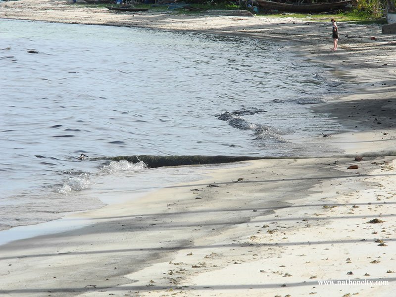 ชื่อภาพ : DSCN9879 คำอธิบายภาพ : DSCN9879