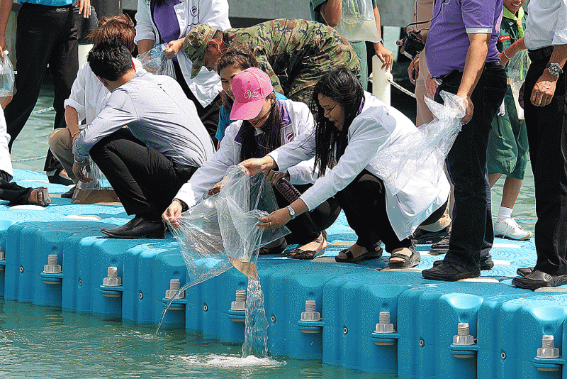  คำอธิบายภาพ : IMG_6042 