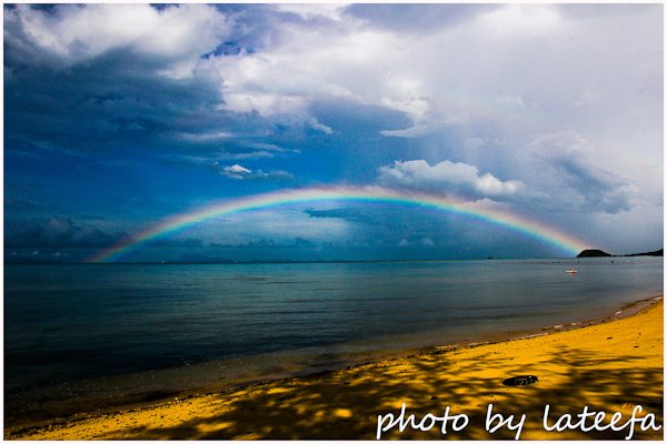Photo :  , 600x400 pixel 178,138 bytes